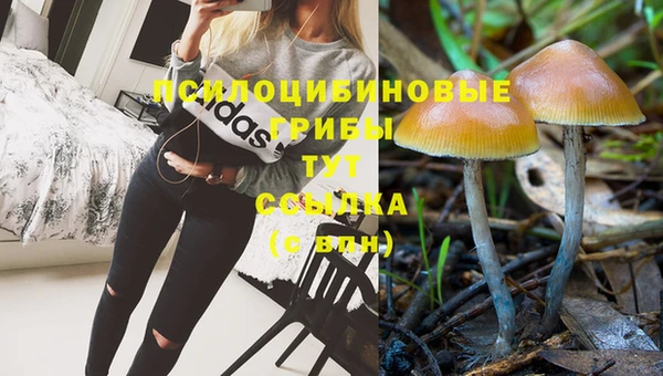 соль курить ск Верхний Тагил