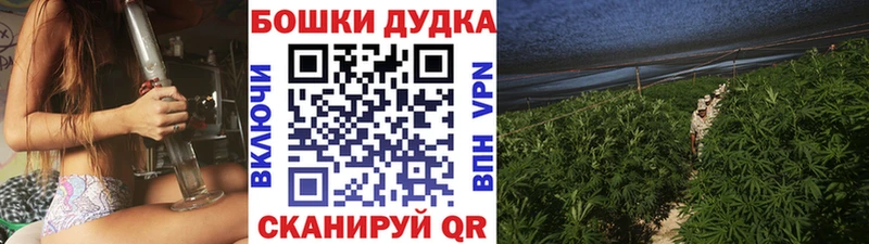 купить наркотик  Изобильный  Шишки марихуана THC 21% 